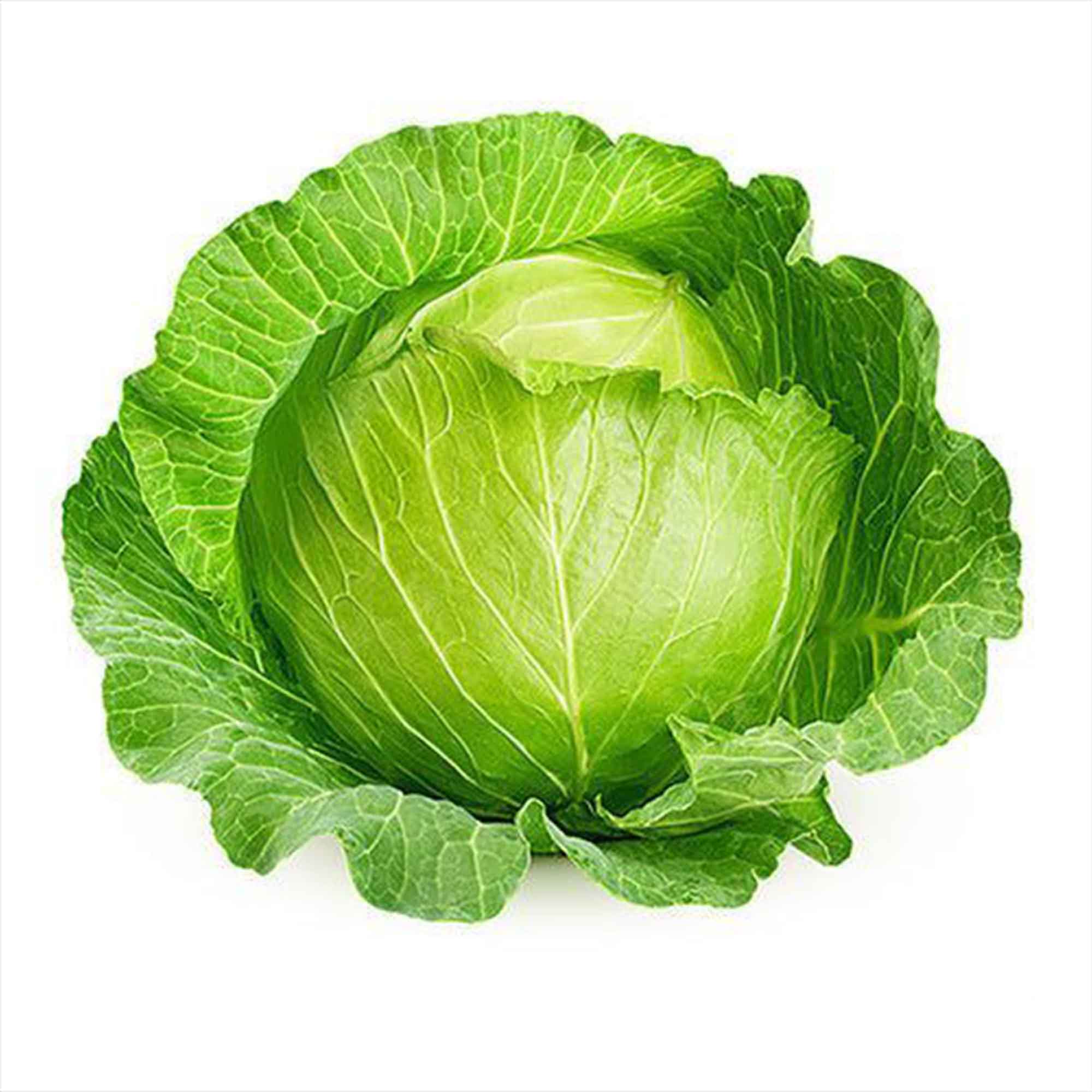 Cabbage is one of the good for H.Pylori