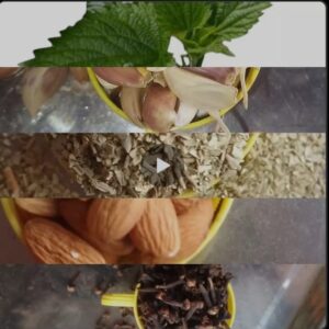 Energy herbf Alanine