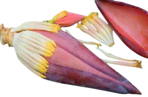 Banana florets a leading herbs for erectile dysfunction