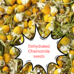Chamomile is an Excellent herb tea