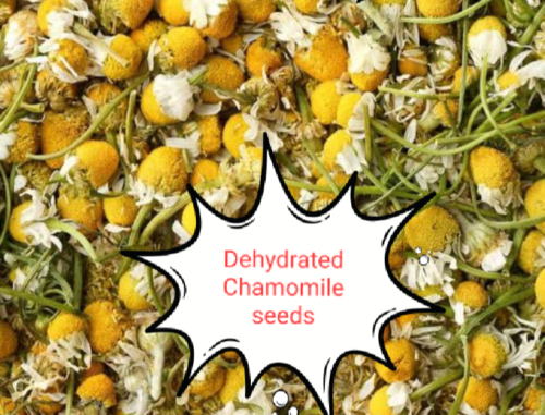 Chamomile is an Excellent herb tea