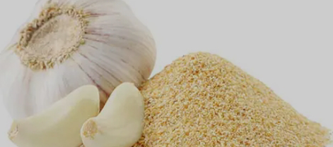 Garlic Powder DRV and It Health Benefits