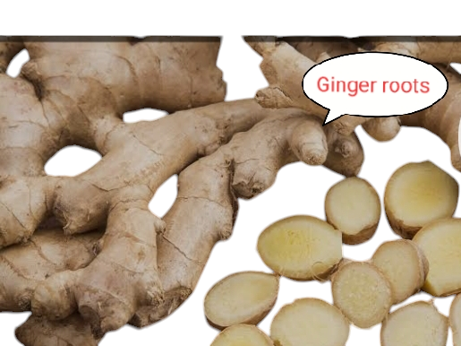 Nutritional values od Ginger