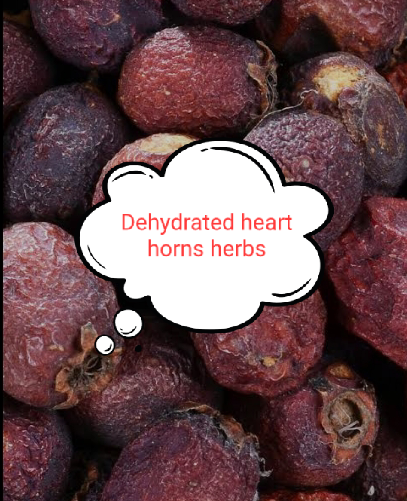 heart-horns is one of the leading herbs for treatment of chronic diseases