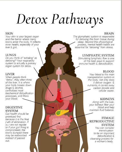 Detox pathways for detoxification