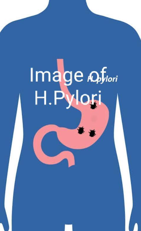 H.Pylori eliminated by herbal application