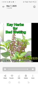 Tulsi is one in the herbs for treatment of bed-wetting