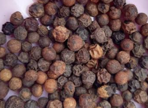 Black pepper leading Spices class medication