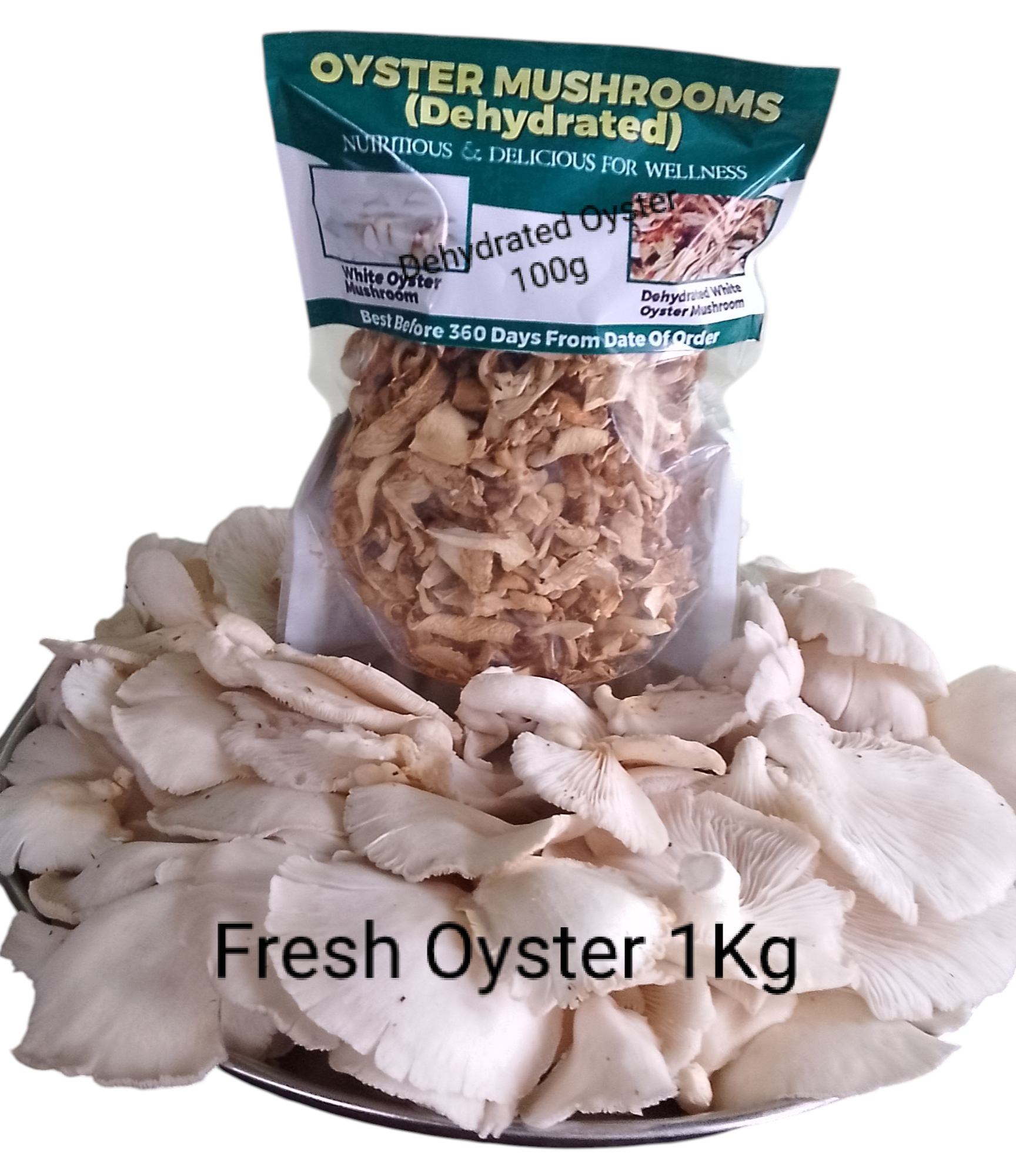 Oyster Mushrooms for wellness.