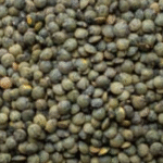 Lentil legume good for baby cereal flour.